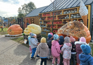 Dzieci przyglądają się ogromnej dyni.