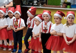 Tuptusie w czapkach Świętego Mikołaja.