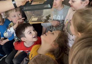 Żaki i Juniorzy oglądają żaby.