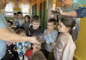 Przerażone dzieci przyglądają się larwom.