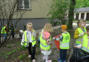 Zdjęcie 6 na 33