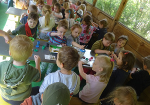 Zdjęcie 34 na 40