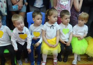 Zdjęcie 16 na 45