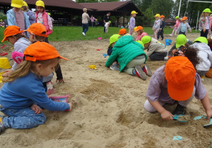 Zdjęcie 16 na 87