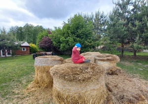 Zdjęcie 16 na 30