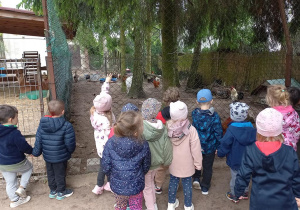Zdjęcie 19 na 30