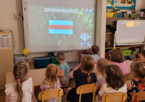 Zdjęcie 14 na 26