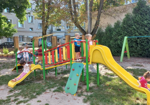 Zdjęcie 32 na 35