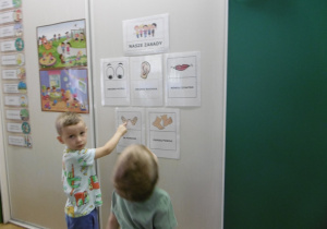 Zdjęcie 14 na 17