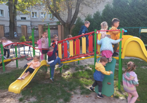 Zdjęcie 13 na 18