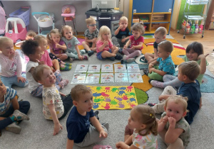 Zdjęcie 6 na 23