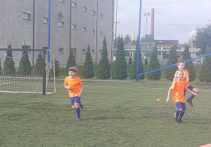 Zdjęcie 7 na 25