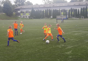 Zdjęcie 13 na 25