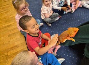 ZOO Borysew w przedszkolu