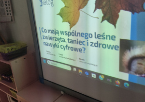 Zdjęcie 5 na 15