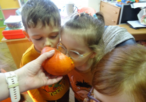 Dzieci sprawdzają zapach przekrojonej dyni.