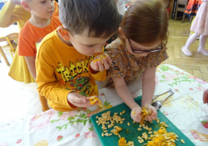 Inna para dzieci podczas dotykania pestek.