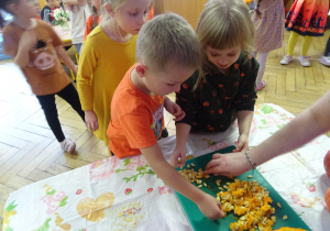 Inna para dzieci podczas dotykania pestek.