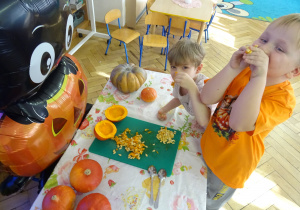 Dwóch chłopców sprawdza zapach dyni.