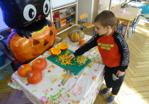 Chłopiec dotyka połowki dyni.
