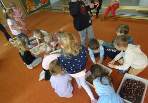 Dzieci bawią się materiałem przyrodniczym.