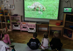 Dzieci ogladają prezentację na tablicy.
