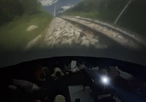 Fragment drogi z polnymi kamieniami.