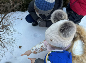 Zimowe zabawy w ogrodzie przedszkolnym