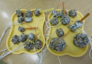 Kulki z nasion wykonane przez dzieci.