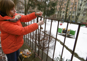Nauczycielka wiesza kulkę z nasion dla ptaków.