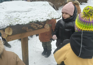 Chłopiec wsypuje nasiona do karmnika.