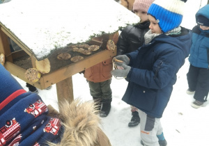 Kolejne dzieci wsypują nasiona do karmnika.