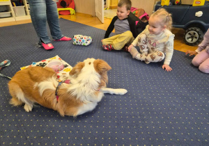 Pies leży na dywanie.