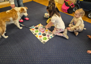 Dziewczynka nalewa wodę dla psa.