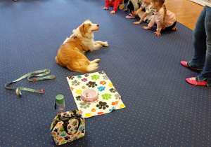 Pies leży na dywanie.