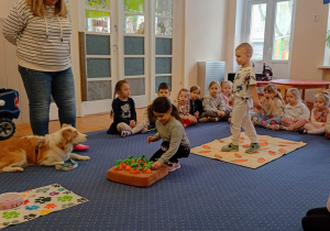 Dziewczynka wkłada przysmak dla psa pod pluszową marchewką.