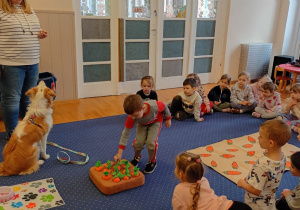Chłopiec wkłada przysmak dla psa pod pluszową marchewką.