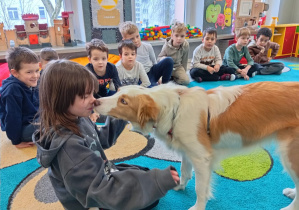 Dziewczynka w szarej bluzie z pieskiem.