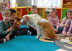 Chłopiec w brązowej bluzie patrzy na psa.