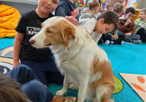 Chłopiec z pieskiem.