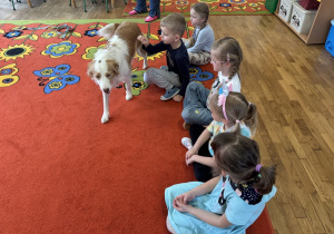 Chłopiec głaszcze psa.