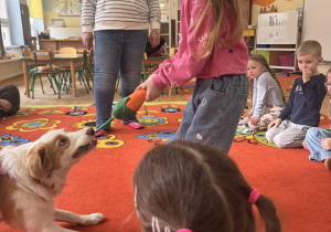 Dziewczynka ciągnie zabawkę razem z pieskiem.