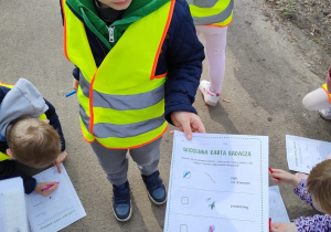 Chłopiec trzyma wiosenną kartą badacza.