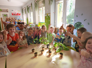 przedszkolne wiosenne ogródki