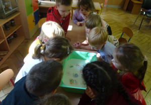 Grupa dzieci przygląda się kolorowym wacikom.
