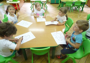 Zdjęcie 28 na 36