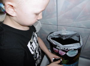 Ogródek w Juniorach