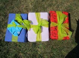 Dzień Dziecka w Bronisławowie