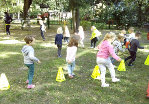 Zdjęcie 14 na 25