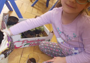 Juniorzy przygotowują niespodzianki z okazji Dnia Mamy i Taty
